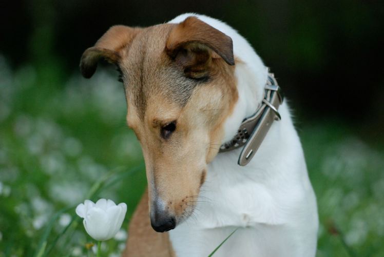 11174654_641294269340691_3245027197059107768_o