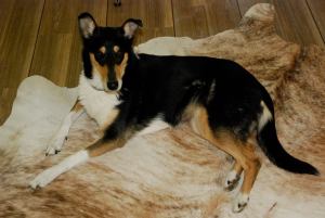 21.4.14 - Quasi verliert die schlanke Taille