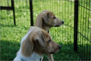 8meinkleinergruenerfreundheaven_480