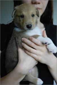 Asa Nanica Agent Anthony