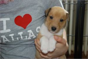 Asa Nanica Ambassador of Heart