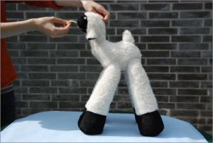 Asa Nanica Ambassador of Heart