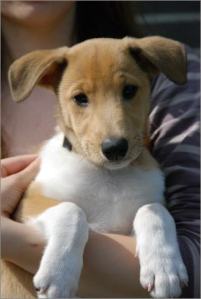 Asa Nanica Ambassador of Heart