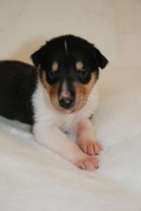 Asa Nanica Back to Future