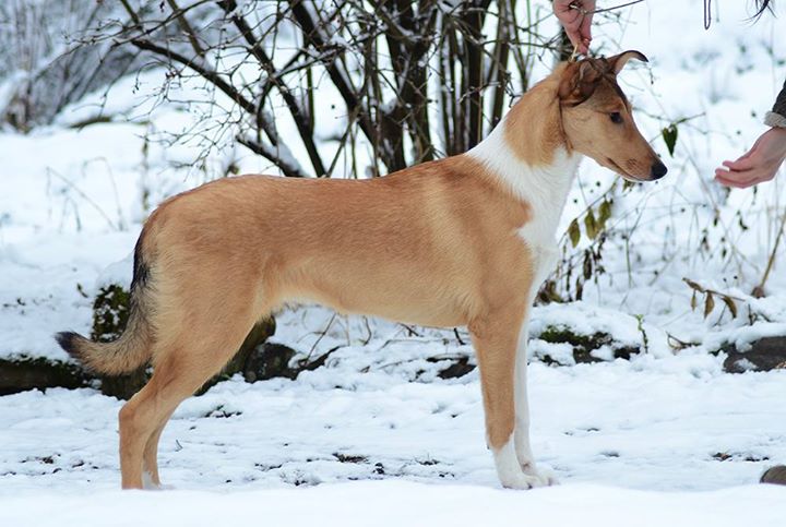 asananicaangelindisguise