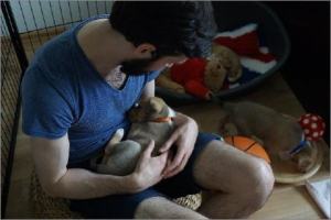 Foto: Siekemeier und Buksmann