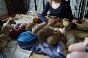 Foto: Siekemeier und Buksmann