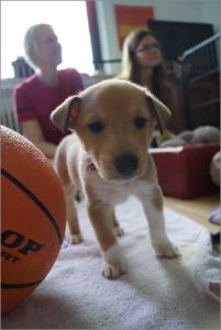 Foto: Siekemeier und Buksmann