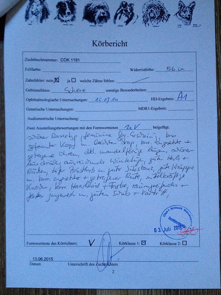 Jule Körbericht 13.6.15