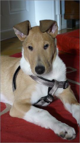 Krümel 4 Monate alt