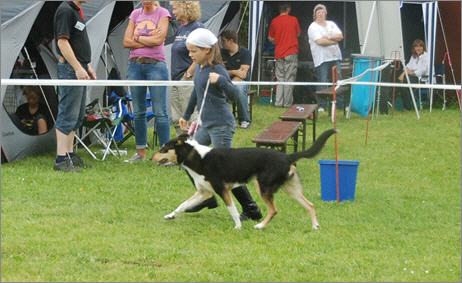 Quasi Junior Handling