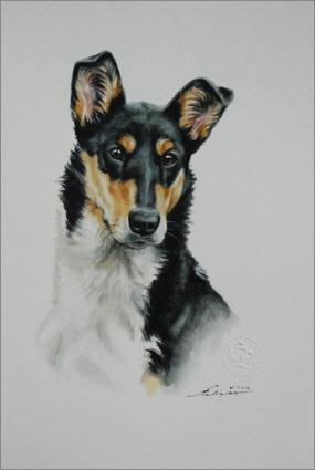 Quasi Zeichnung- Gabriele Laubinger, http-::www.dasportrait.de: