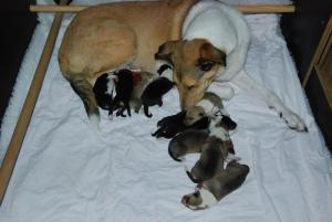 Rosa with her 4 girls and 5 boys „smile“-Emoticon