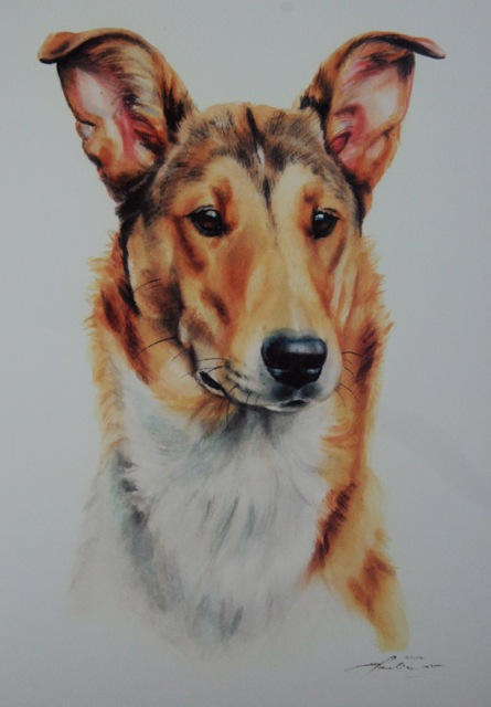 Frida:Gabriele Laubinger