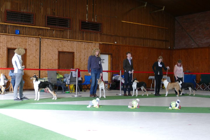 P1060748 (Small).JPG