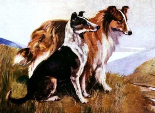 37141537_1350826398382575_5561384445275013120_n