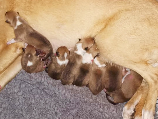 60309384_2079789188814846_1569761704319909888_n (1)