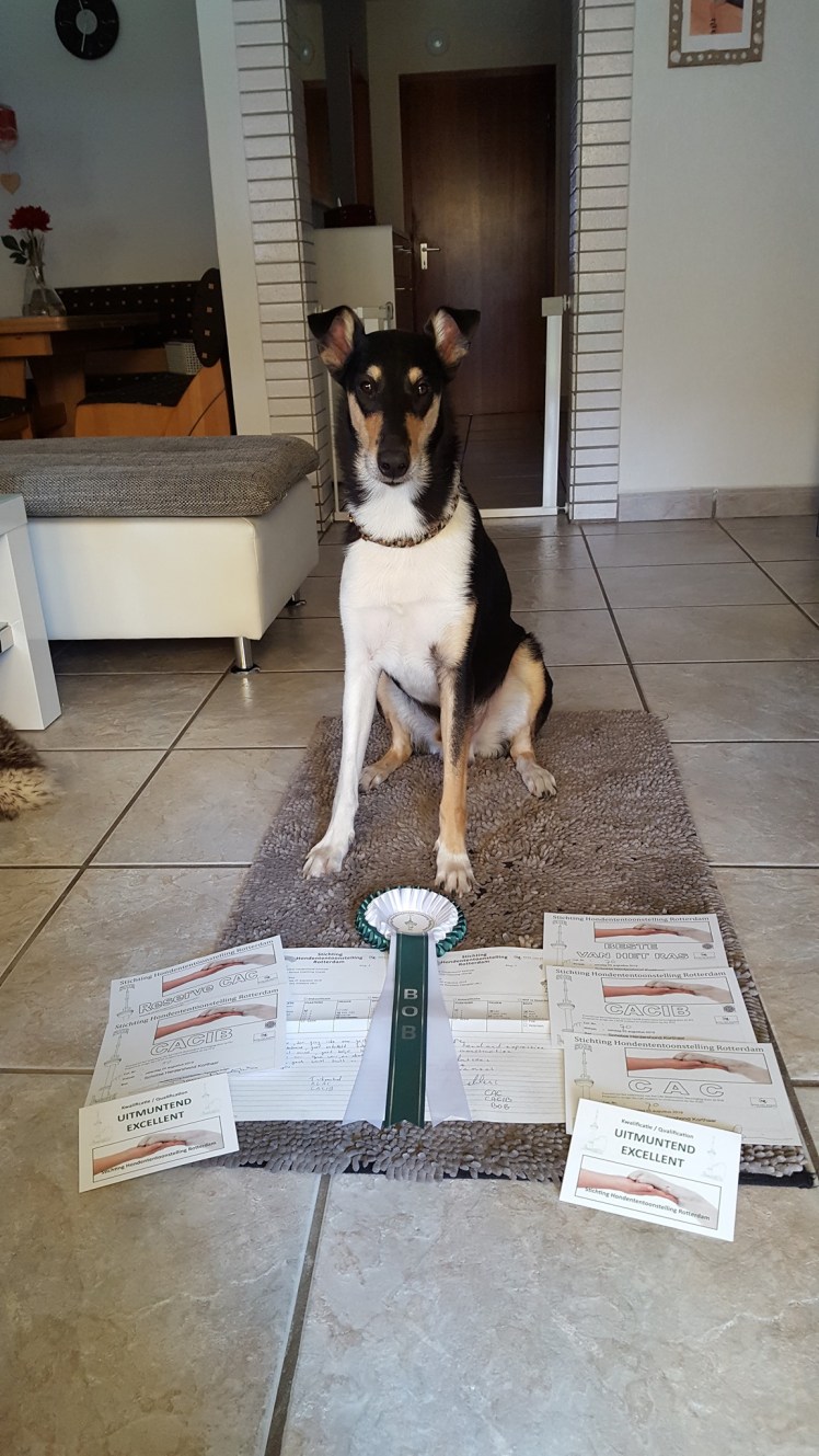 Asa Nanica Charming Charlie