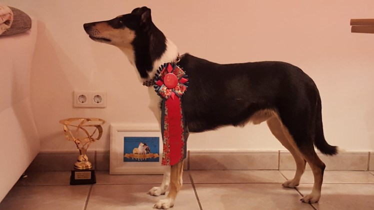 Charlie Badbergen 19 BOB