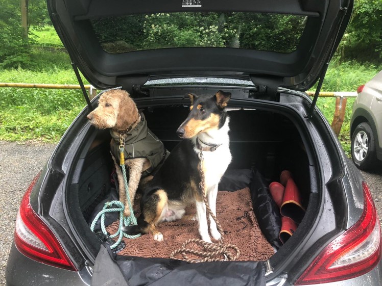 Georgie mit Freundin