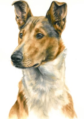 Gabriele Laubinger 9:2008 Gabriele Laubinger 9:2008