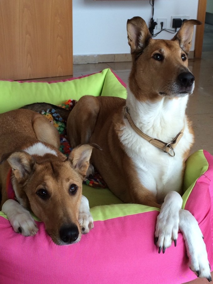 Jule und Krümel 2015 Jule und Krümel 2015