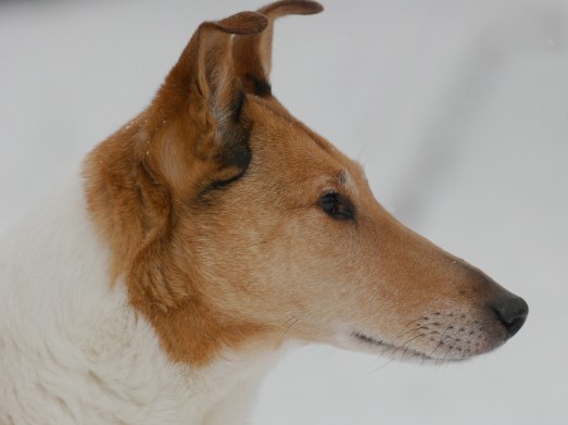 Krümel 12:17 Profil Krümel 12:17 Profil