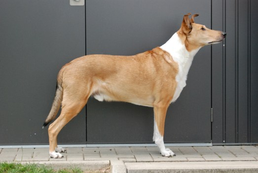 September 2017, fast 10 Jahre alt September 2017, fast 10 Jahre alt