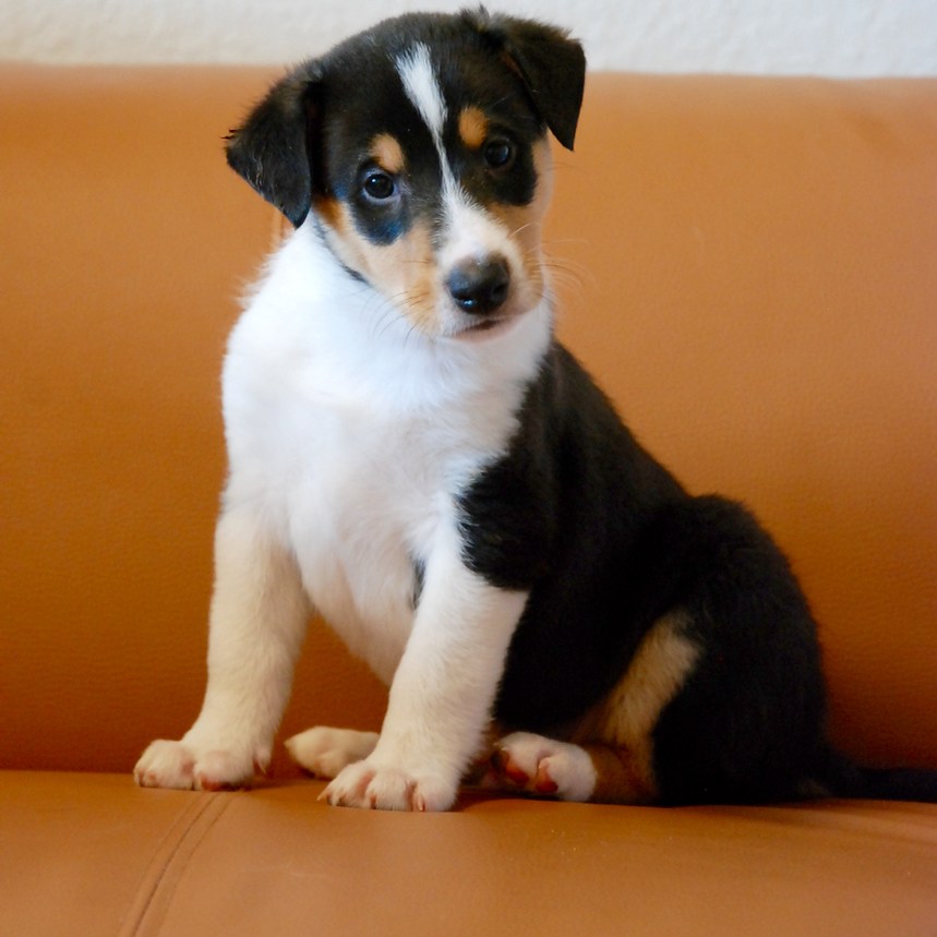 Asa Nanica I´m Yours